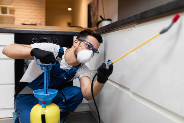 Reliable Kirby, TX Pest Control Solutions