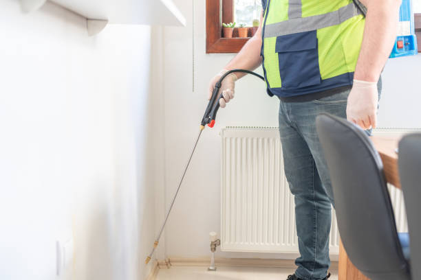 Best Wasp Removal Services  in Kirby, TX