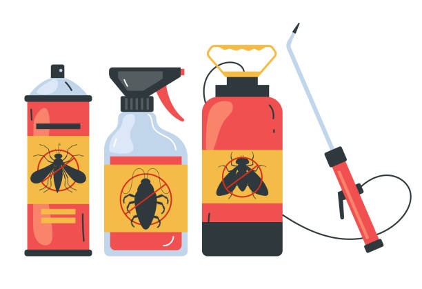 Best Emergency Pest Control  in Kirby, TX