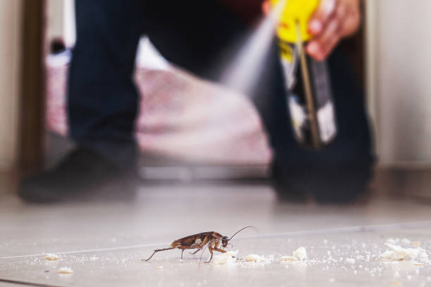 Pest Prevention Services in Kirby, TX